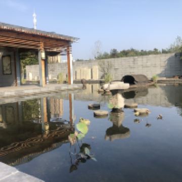 評論圖片 9