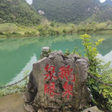 評論圖片 1