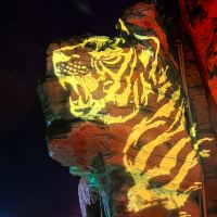 評論圖片 7