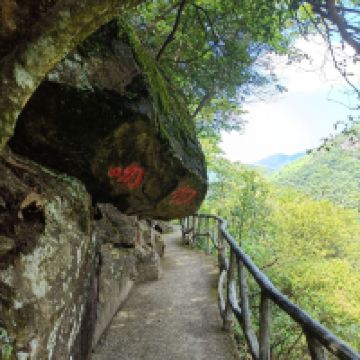 評論圖片 7