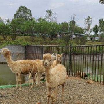 評論圖片 4