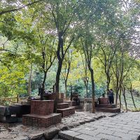 評論圖片 7