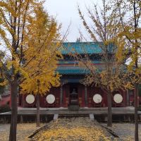 評論圖片 4