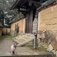 評論圖片 3