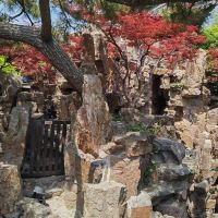 評論圖片 8