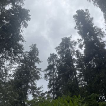 評論圖片 6