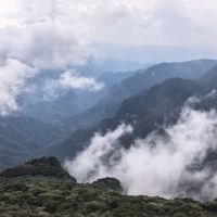 評論圖片 4