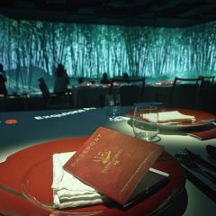 TASTE OF CHINA Immersive Dining User Photo