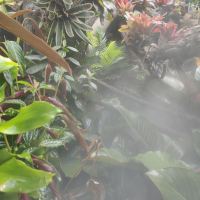 評論圖片 8