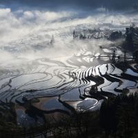 評論圖片 5