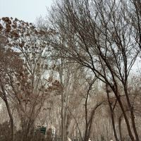 評論圖片 5
