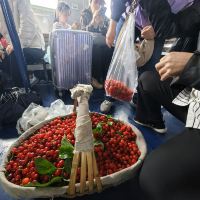 評論圖片 6