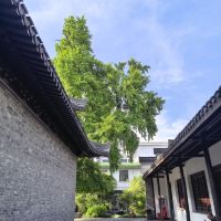 評論圖片 4