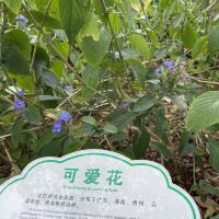 評論圖片 4