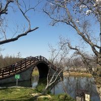 評論圖片 2