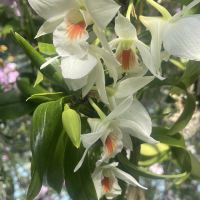 評論圖片 5