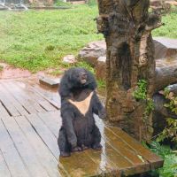 評論圖片 5