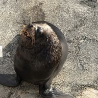 評論圖片 2