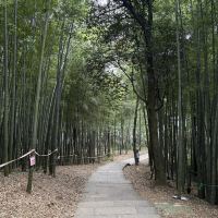 評論圖片 4