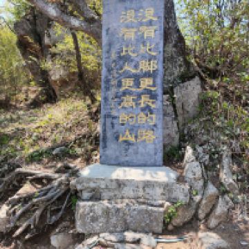評論圖片 9