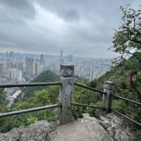 評論圖片 6