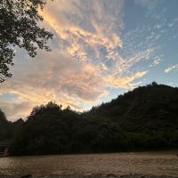 評論圖片 6