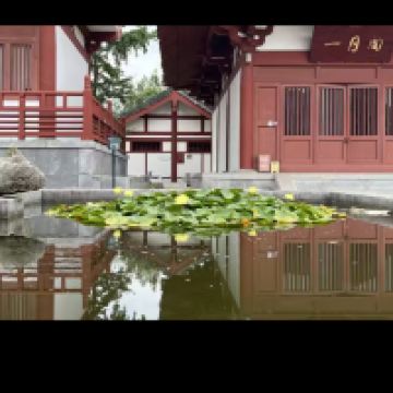 評論圖片 1