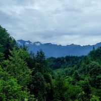 評論圖片 9