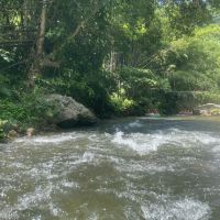 評論圖片 4
