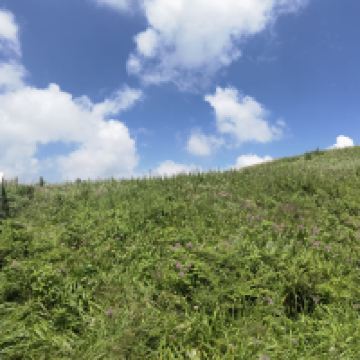 評論圖片 3