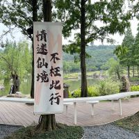 評論圖片 4
