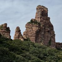 評論圖片 6