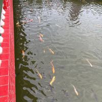 評論圖片 3