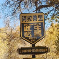 評論圖片 7