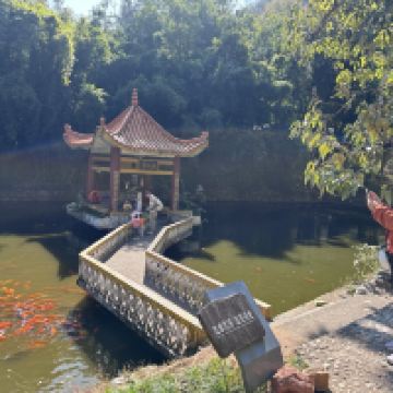 評論圖片 3