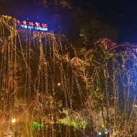 評論圖片 1