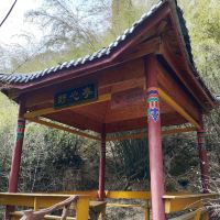 評論圖片 3