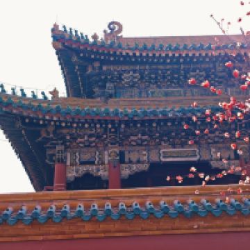 評論圖片 7