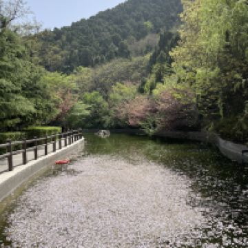 評論圖片 5