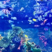 評論圖片 3