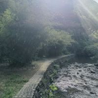 評論圖片 5