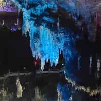 評論圖片 5