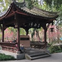評論圖片 1