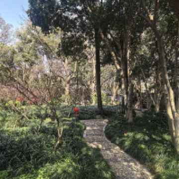 評論圖片 3