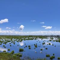 評論圖片 1