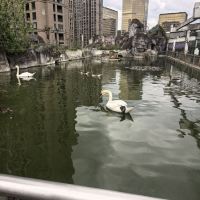評論圖片 4