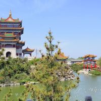 評論圖片 8