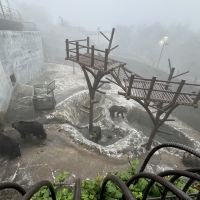 評論圖片 1
