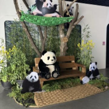 評論圖片 4