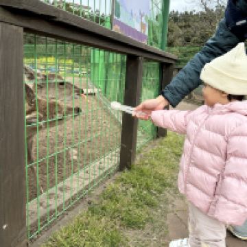 評論圖片 2